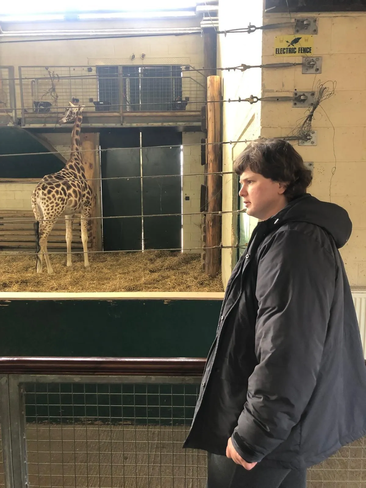 My favourite thing is going to the zoo to see the giraffe, I usually count all the animals as l go roung the zoo.