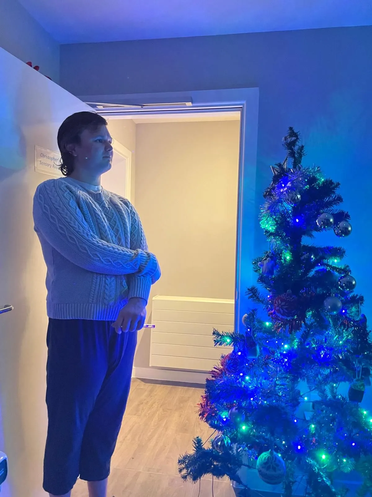 My 1st Christams in my new home.
