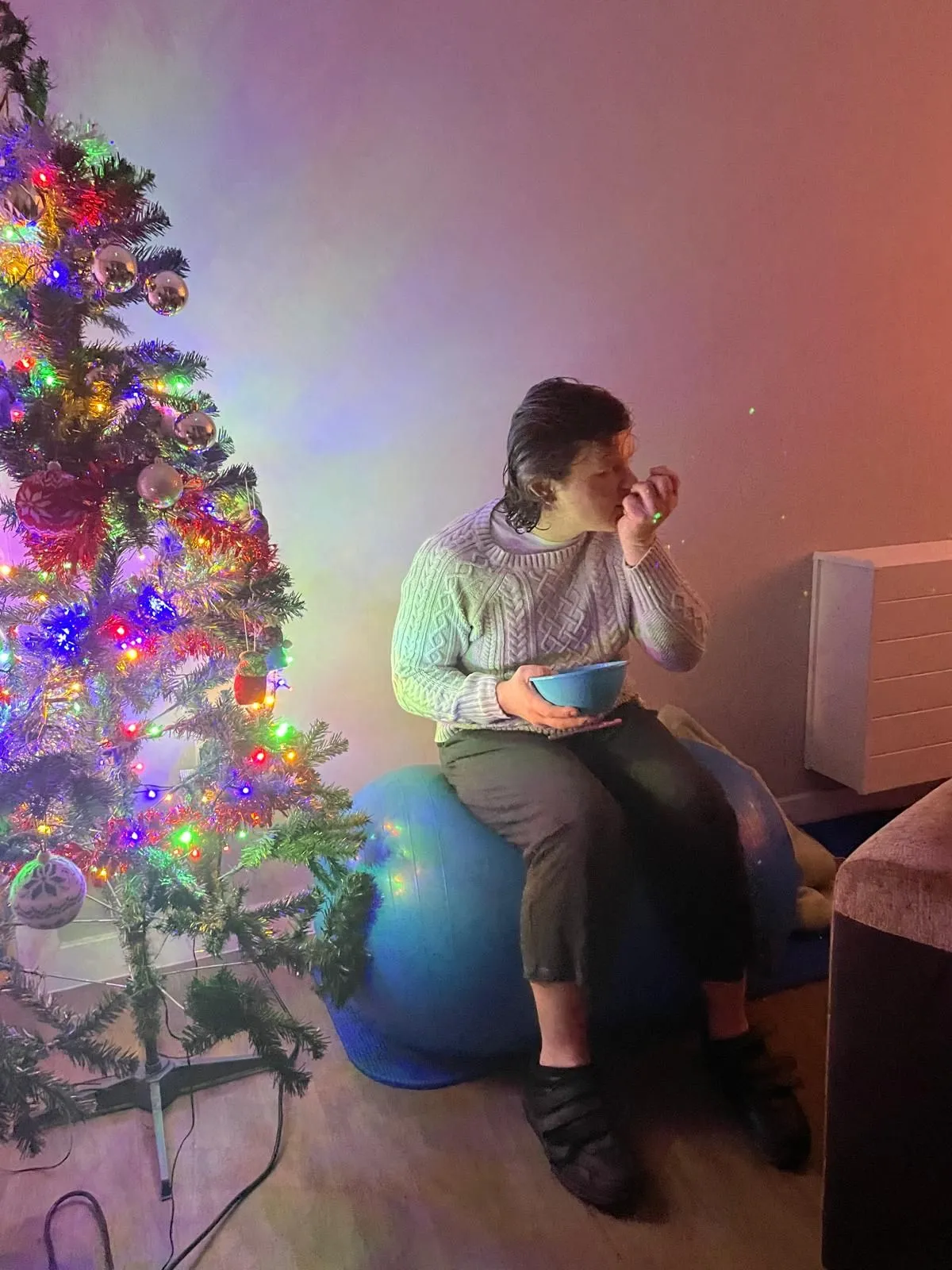 My 1st Christams in my new home.