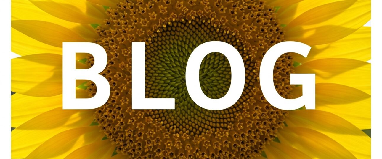 Sunflower witht he word BLOG on it