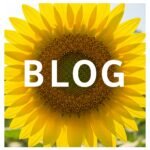 Sunflower witht he word BLOG on it