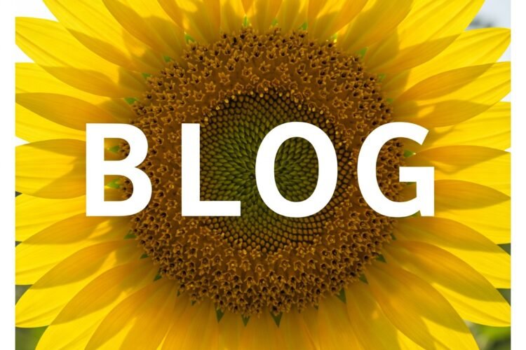 Sunflower witht he word BLOG on it